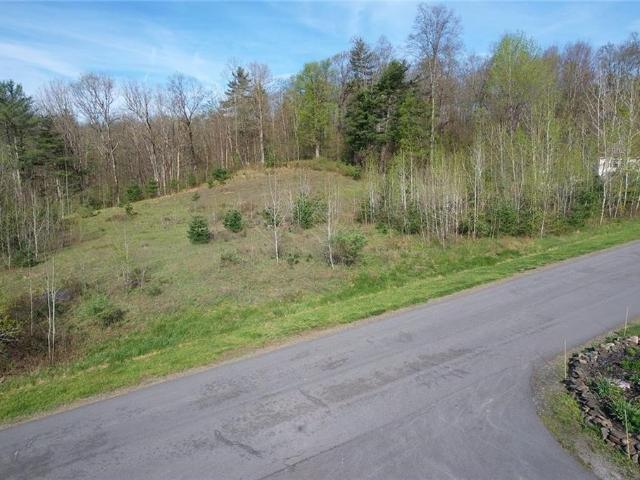 Land for sale in Laurens, New York