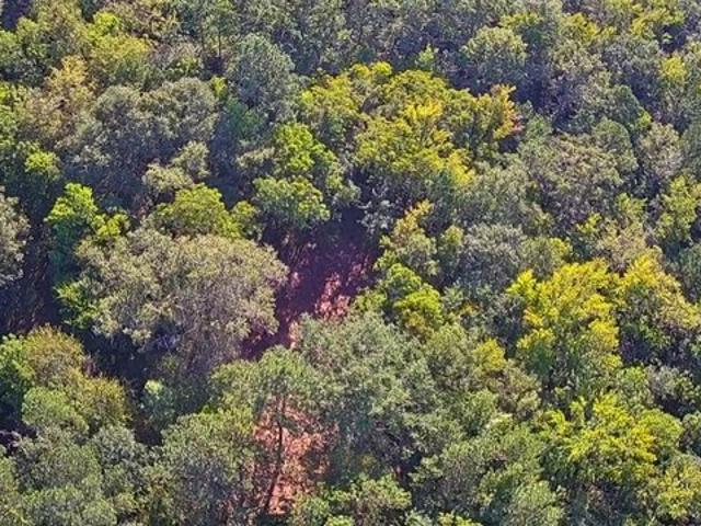 Land for sale in Haddock, Georgia