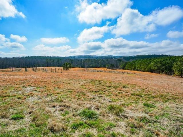 Land for sale in Pickens, Georgia