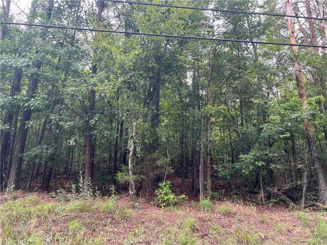 Land for sale in Bartow, Georgia