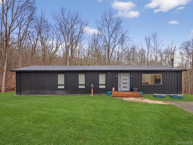 House for sale in Callicoon, New York