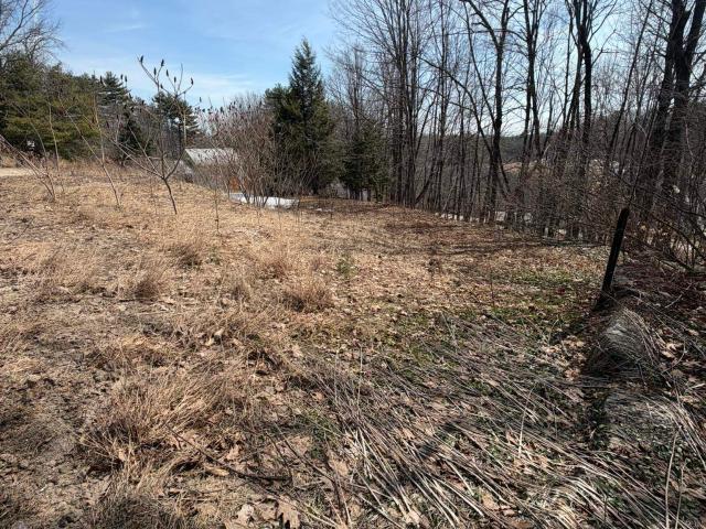 Land for sale in New Hampshire