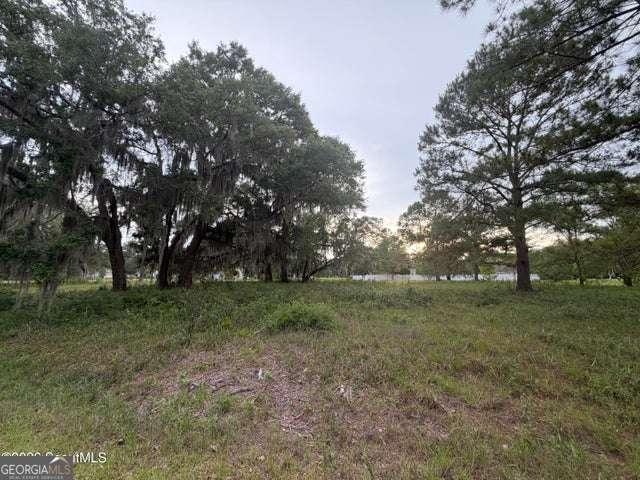Land for sale in Darien, McIntosh County