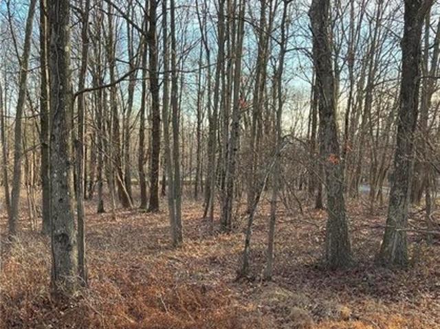 Land for sale in Carbon, Pennsylvania