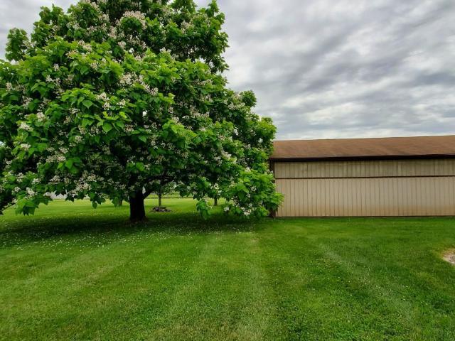 House for sale in Sardinia, Ohio