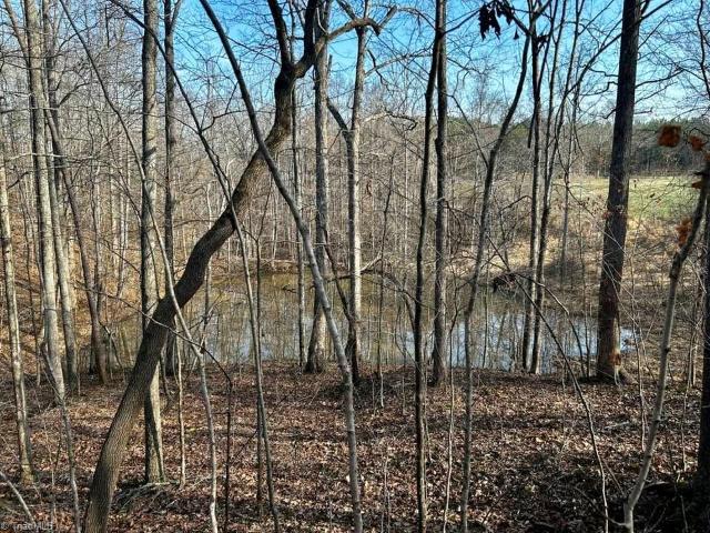 Property for sale in North Carolina