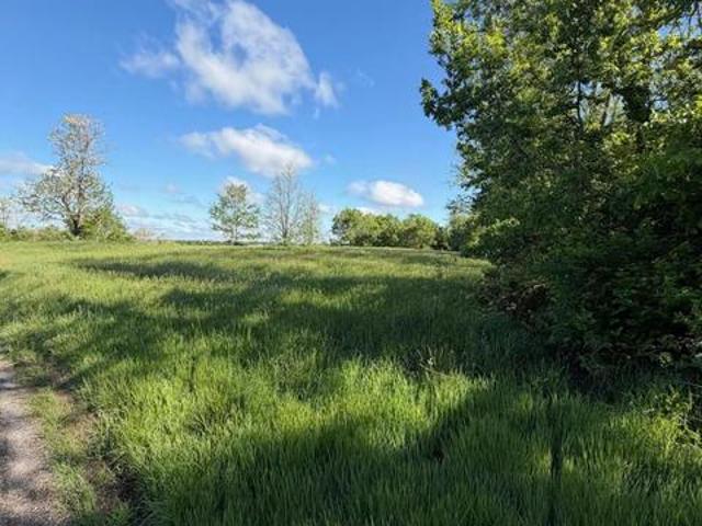 Land for sale in Williamstown, Kentucky