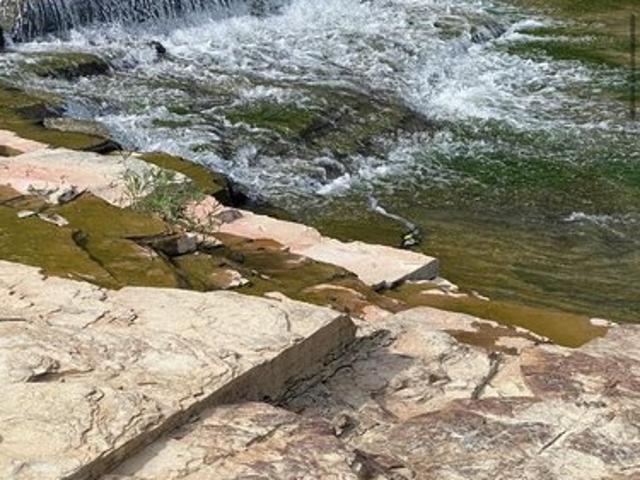 Land for sale in Science Hill, Kentucky