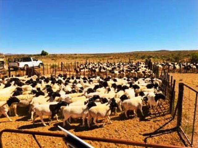 Commercial for sale in Carnarvon, Northern Cape