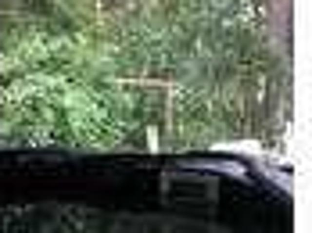 House for rent in Lake Panasoffkee