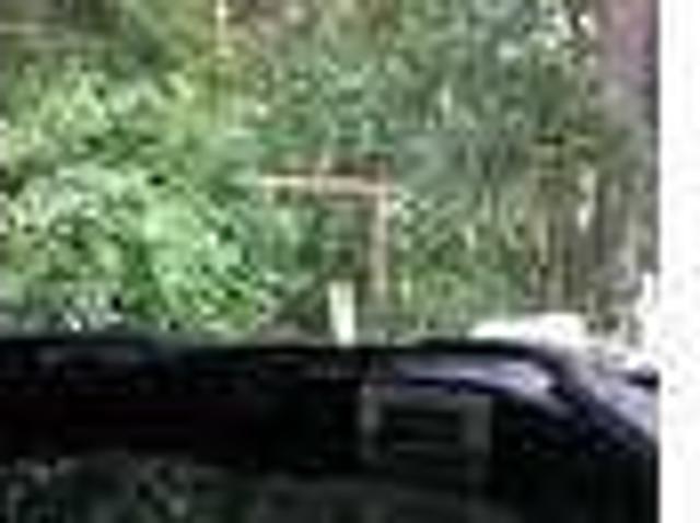 House for rent in Lake Panasoffkee, Florida