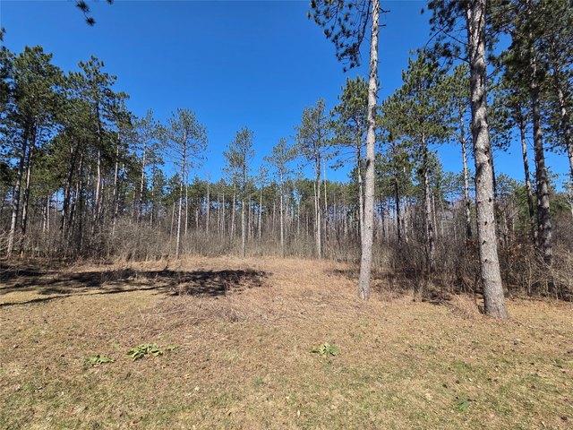 Land for sale in Cameron, Wisconsin