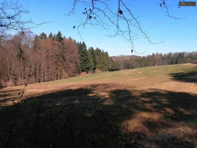 Grundstück kaufen in Riegersburg, Steiermark