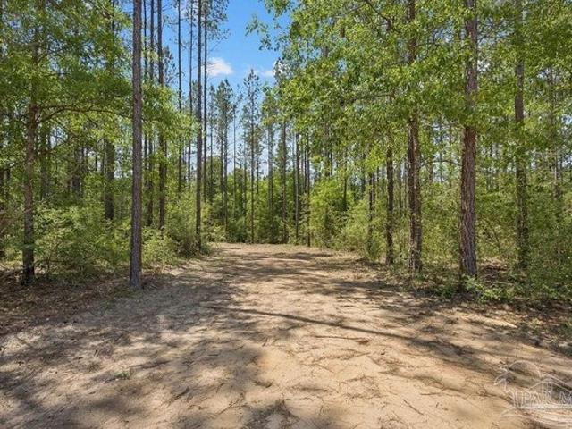 Land for sale in Pace, Florida