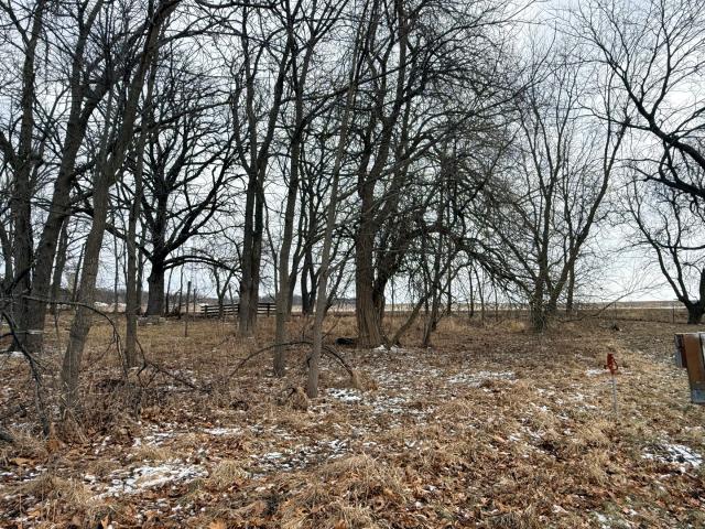 Land for sale in Sublette, Illinois