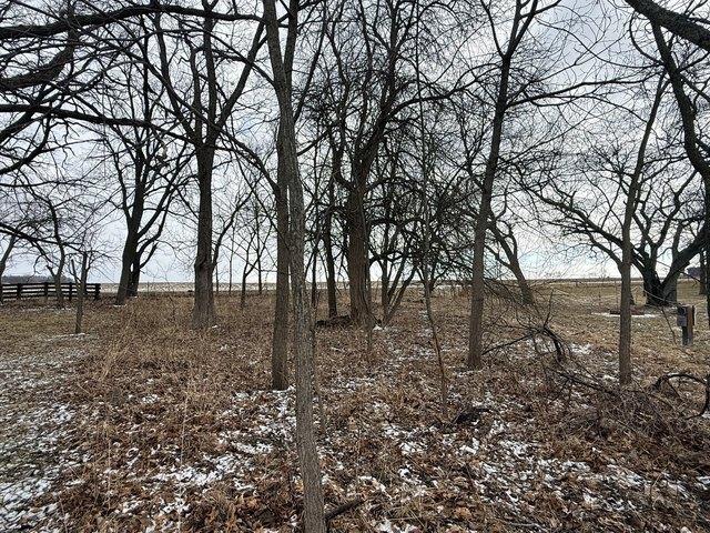 Land for sale in Sublette, Illinois