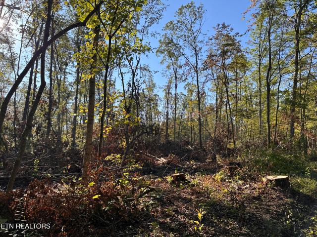 Land for sale in Tennessee