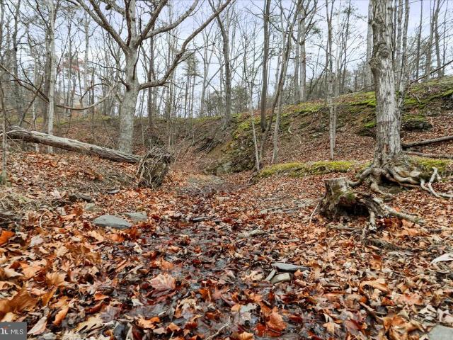 Land for sale in Romney, West Virginia