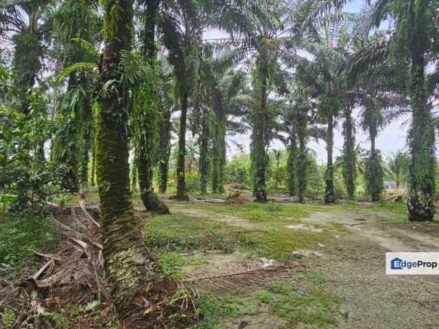 Shop for sale in Perak, Tapah