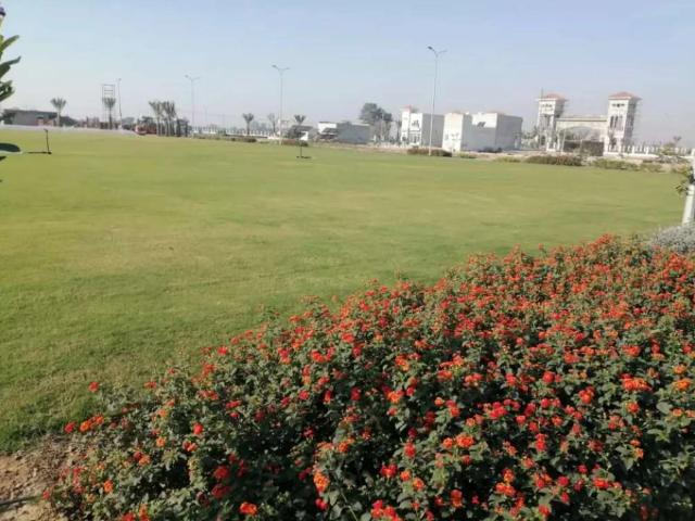 Land for sale in Faisalabad, Islamabad Capital Territory