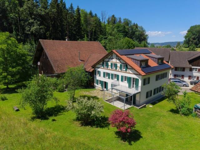 Einfamilienhaus kaufen in Mettlen, Bussnang