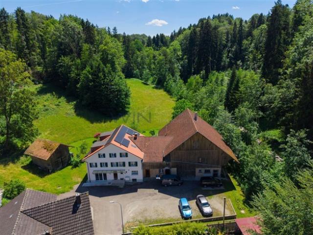 Einfamilienhaus kaufen in Bussnang, Thurgau