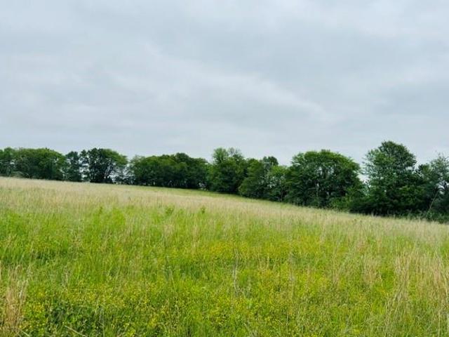 Farm for sale in Plattsburg, Missouri