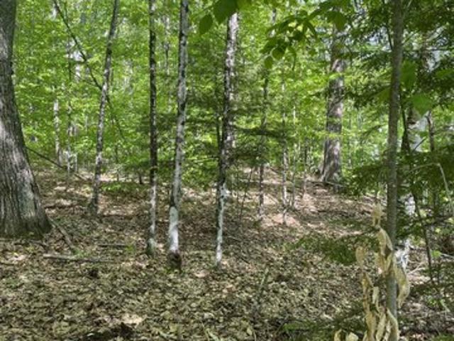 Land for sale in New Hampshire