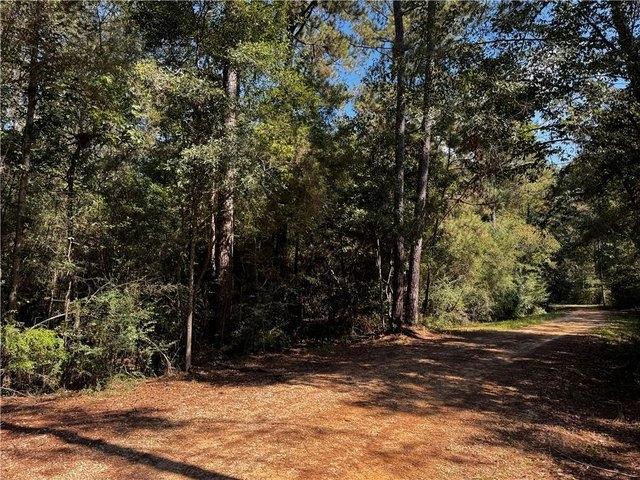 Land for sale in Franklinton, Washington Parish