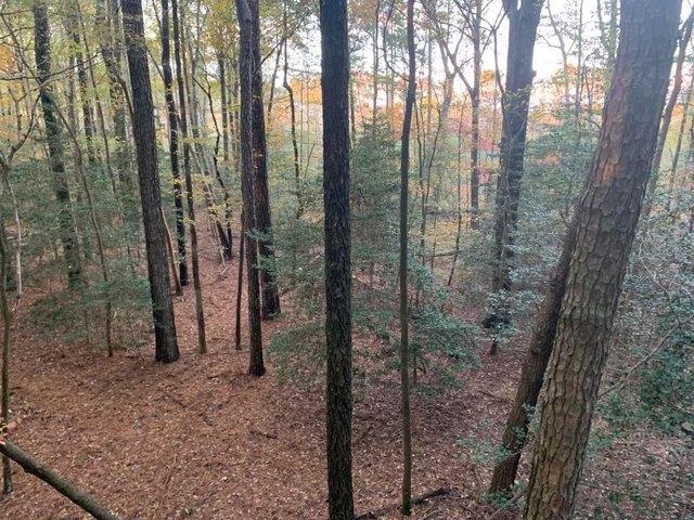 Land for sale in Virginia
