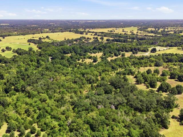 Land for sale in Franklin, Robertson County