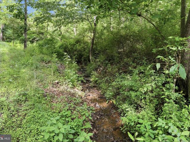 Land for sale in Hardy, West Virginia