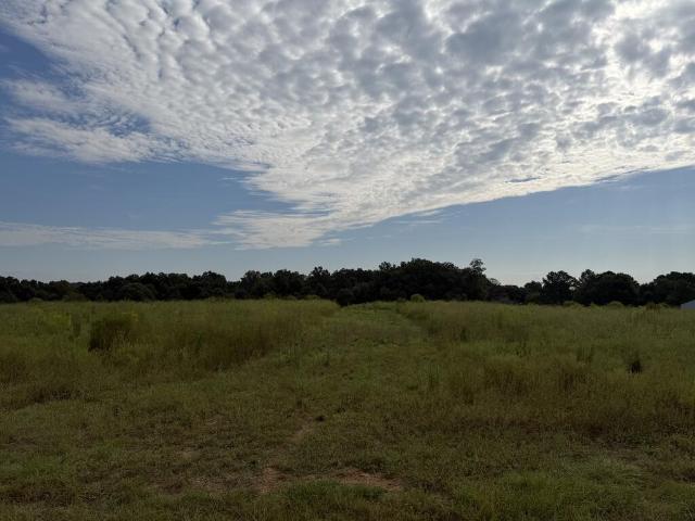 Land for sale in Headland, Henry County