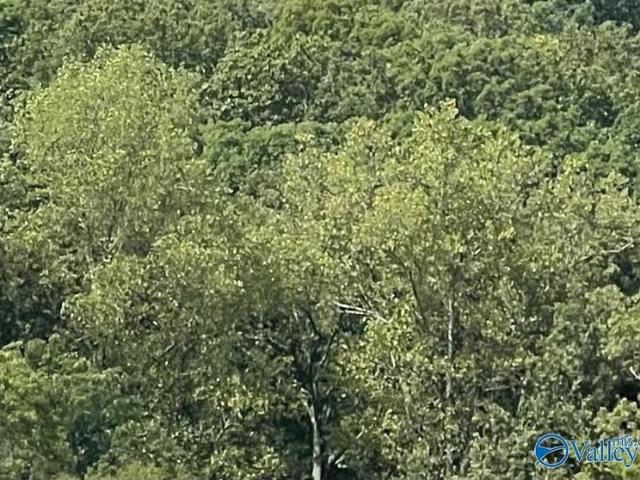 Land for sale in Owens Cross Roads Land for sale in Owens Cross Roads