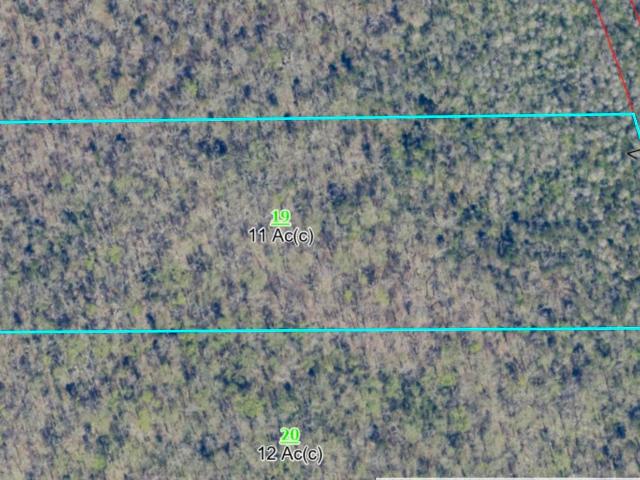 Land for sale in Grant, Alabama