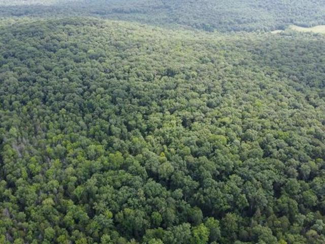 Land for sale in Woodville, Alabama