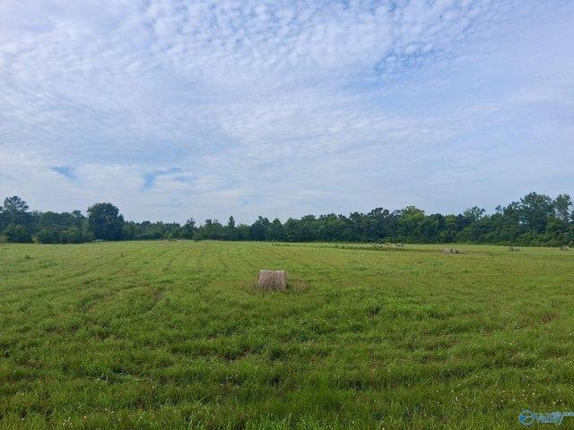 Land for sale in Grant, Alabama