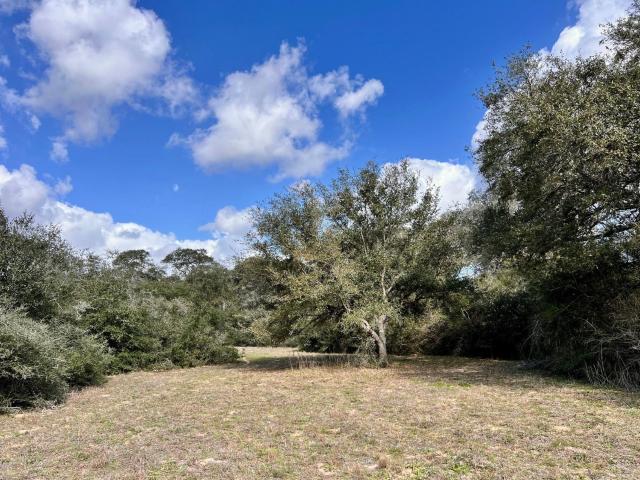 Land for sale in Altair, Texas