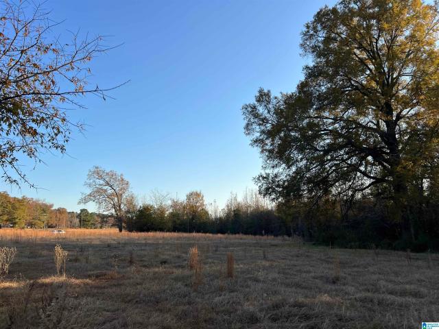 Land for sale in Alabama