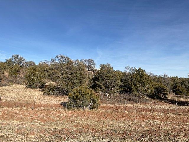 Land for sale in Sandia Park, New Mexico