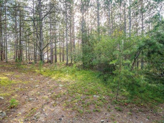 Land for sale in Davis, Tucker County
