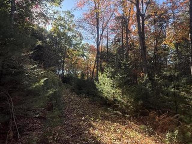 Land for sale in Sedgwick, Hancock County