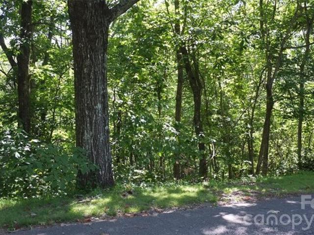 Land for sale in Columbus, North Carolina
