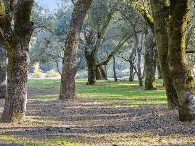 Land for sale in California