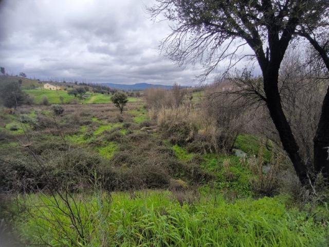 Quinta venda em Castelo Branco
