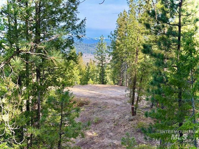Land for sale in Cascade, Idaho