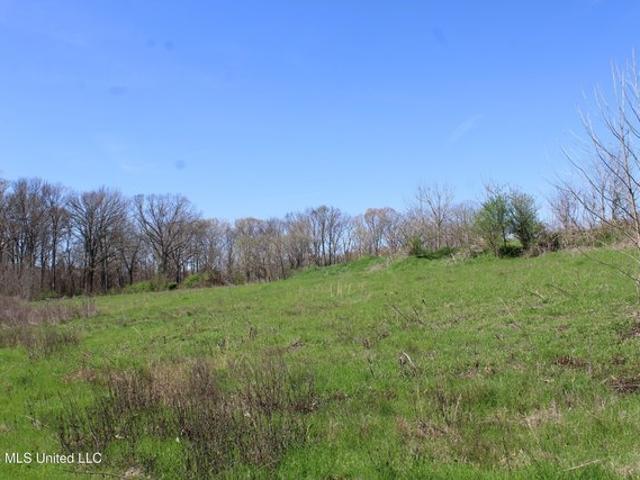 Land for sale in Olive Branch, DeSoto County