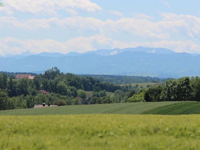 Grundstück kaufen in Niederneukirchen, Oberösterreich