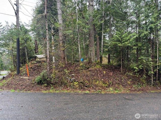 Land for sale in Brinnon, Washington