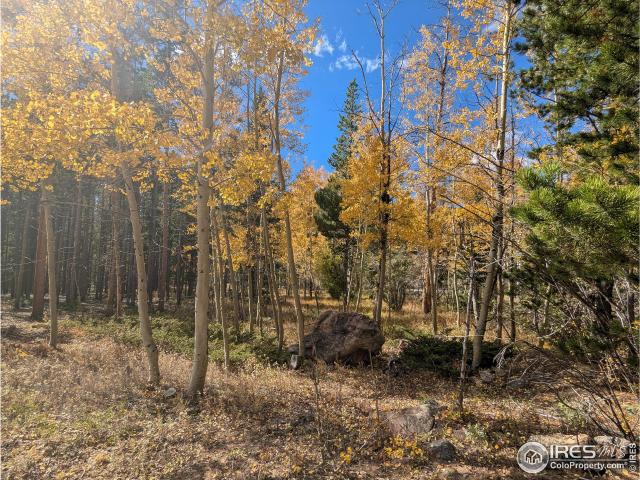 Land for sale in Colorado